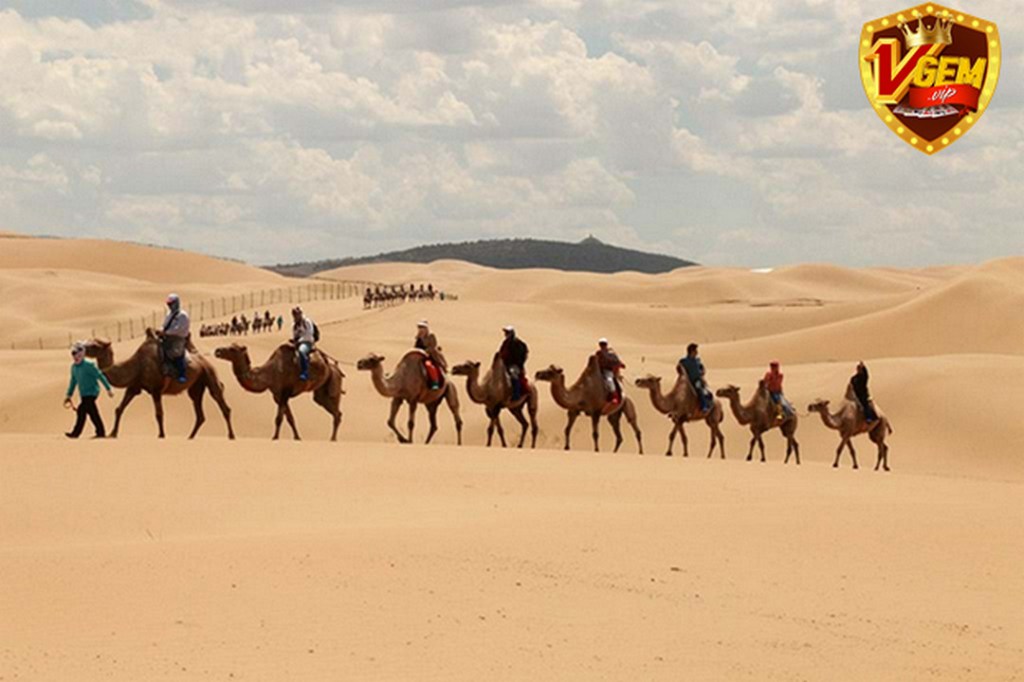 Trò chơi sa mạc| Vgemvip